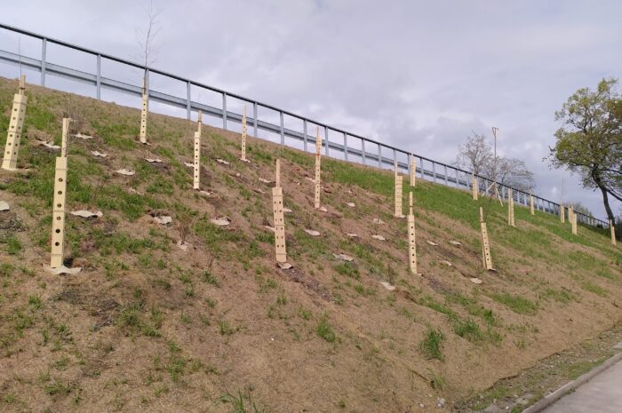 Bau des Radschnellwegs in Garching: Massive Rodungsarbeiten und mangelhafte Wiederanpflanzung auf betroffenen Flächen