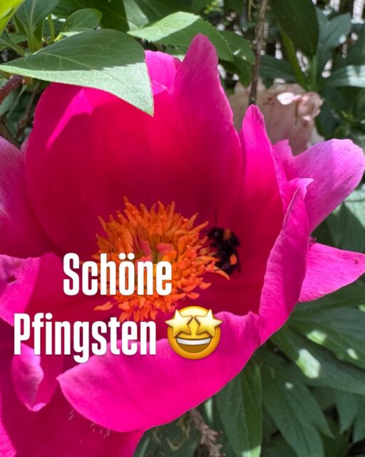 ✨ Frohe Pfingsten & schöne Ferien! ✨
Die SPD Garching wünscht euch von Herzen entspannte Tage, Zeit mit Familie und Freunden und Momente, in denen ihr einfach mal abschalten könnt. 🌿☀️

Pfingsten ist auch ein Fest der Gemeinschaft – und die brauchen wir gerade. Ob beim Grillen am See, beim Spaziergang durch Garching oder beim gemeinsamen Kaffee ☕️ oder Tee 🍵 
Genießt die freie Zeit, tankt Energie und kommt gut an!

#FrohePfingsten #SchöneFerien #SPDGarching #urlaubfürdieseele #garching